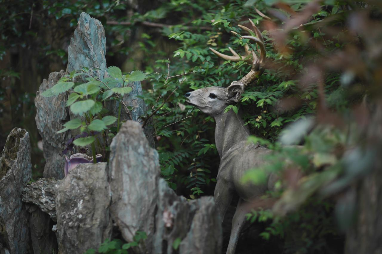 Wuyi Mountain Ancient Street Forest Living England Time Inn Wuyishan  Esterno foto